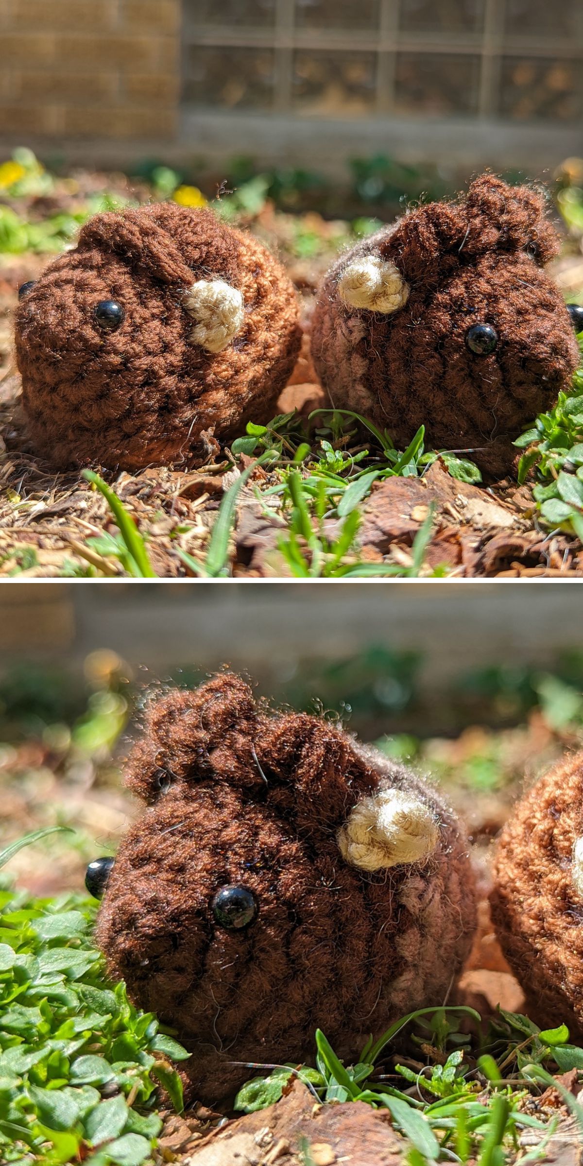 Two brown, woolly, handmade crochet bison toys with black eyes and beige ears sit on grass and mulch outdoors in sunlight.