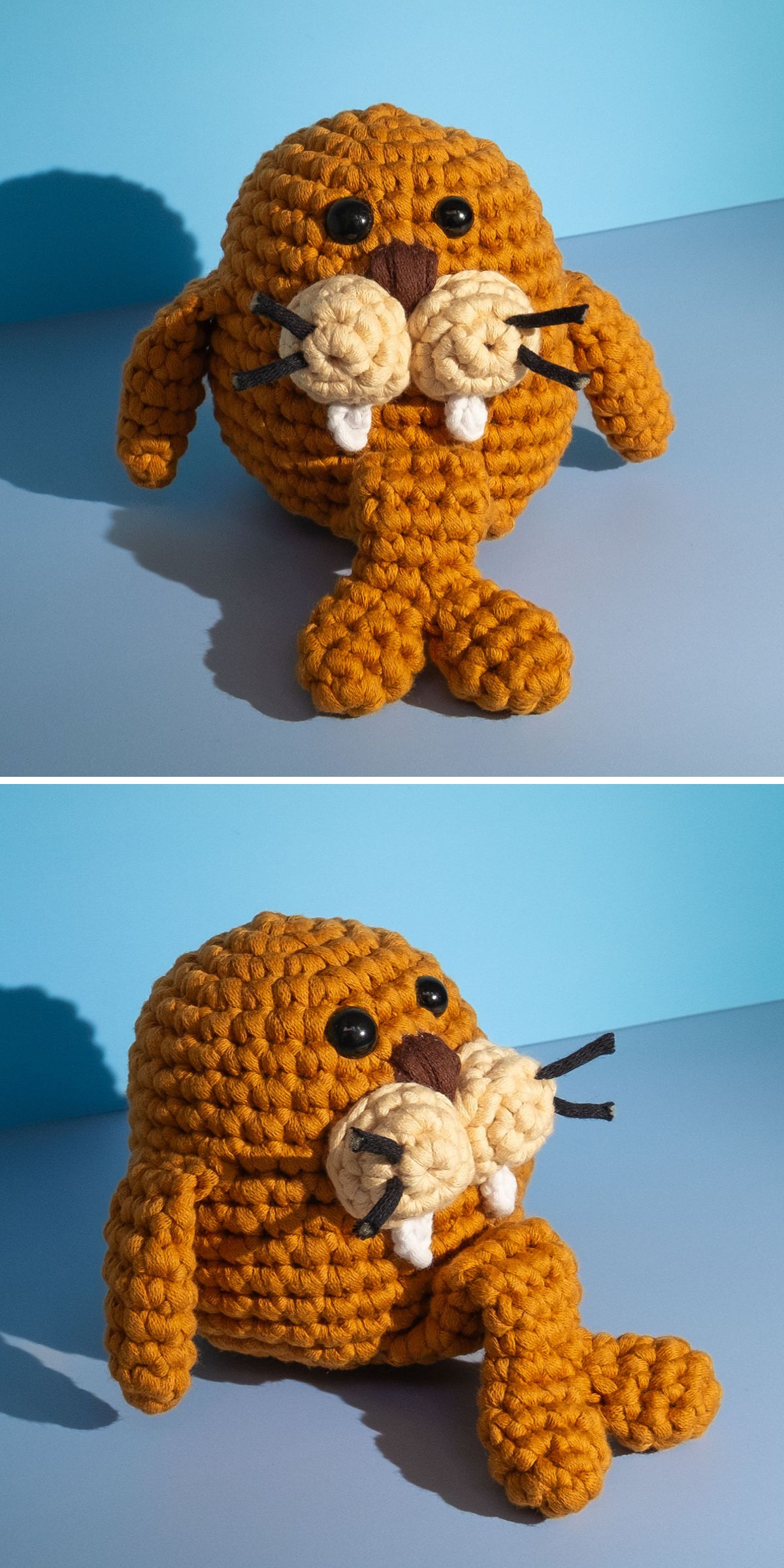 Two views of a crochet walrus with tusks, flippers, and a round body, posed on a flat blue and gray surface.