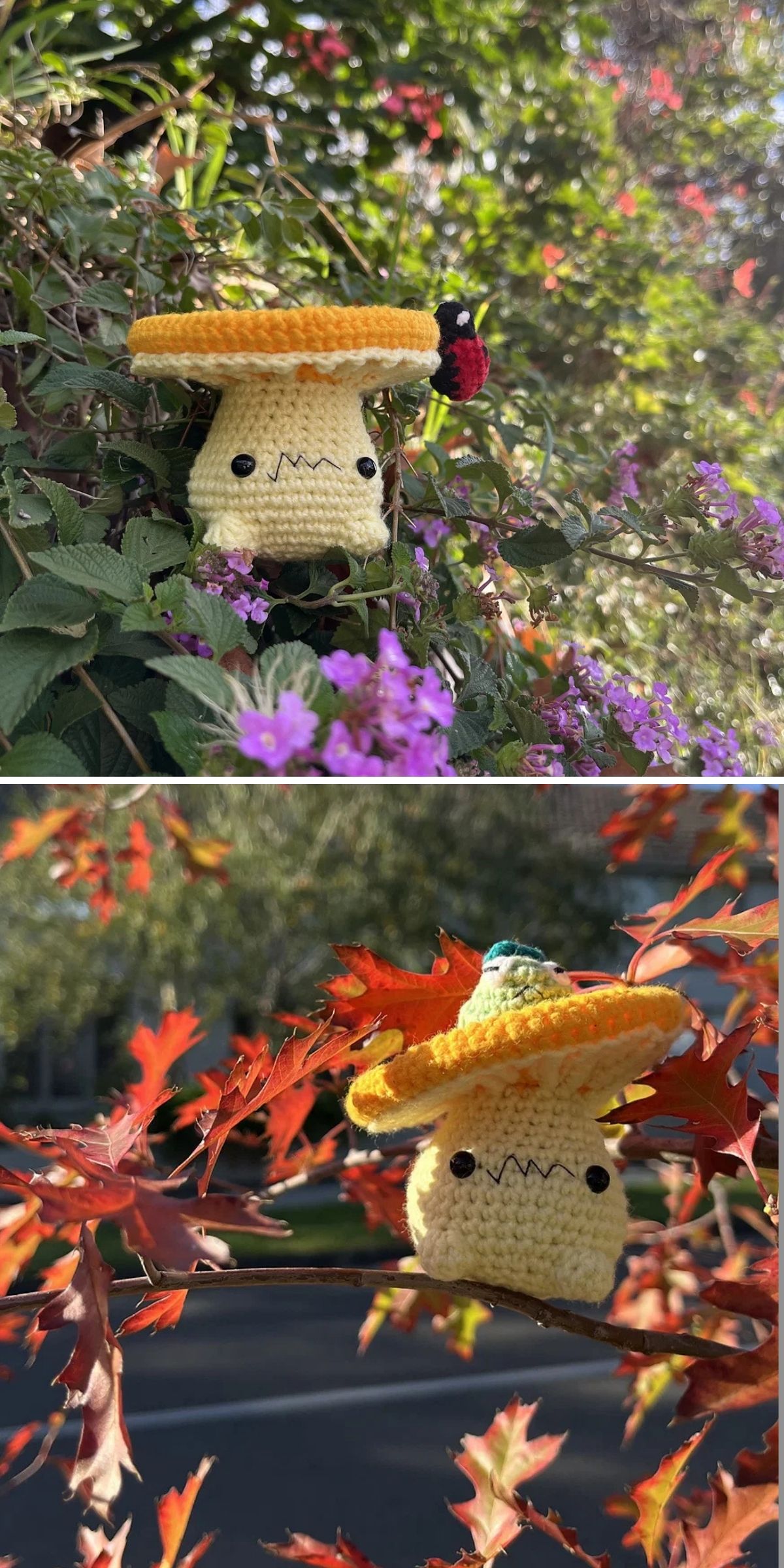 Two photos of a crochet mushroom plush with a yellow cap, black eyes, and a small smile, posed among purple flowers in greenery and orange autumn leaves outside.