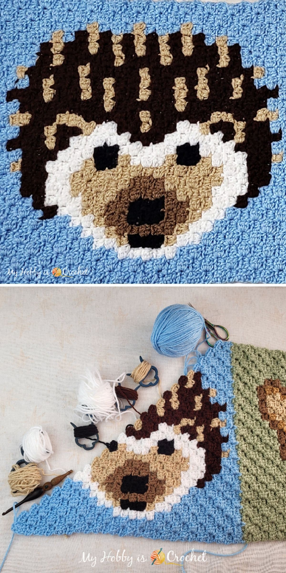 Two crochet panels show a charming crochet animal square with a hedgehog pattern; the first panel is finished, while the second is in progress, featuring yarn balls and the hedgehog partially completed.